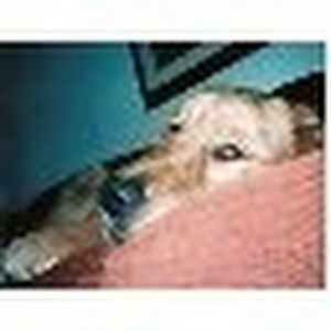 Meet your Posher, Meredith